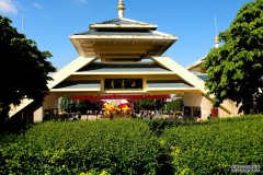 人挤车？新建人行天桥！南宁青秀山“微更新”